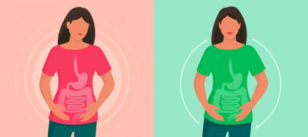Gastrointestinal health Gastrointestinal health