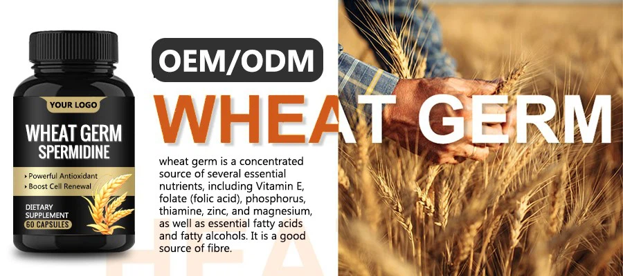 Wheat Germ-based Spermidine Wheat Germ-based Spermidine