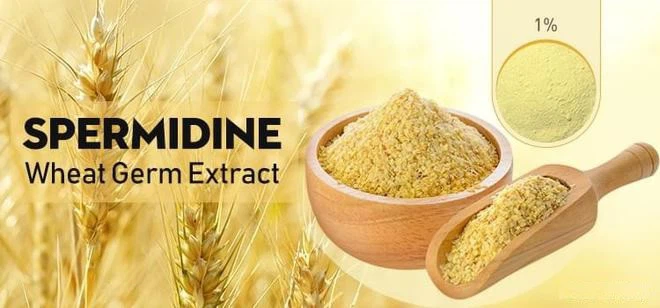 wheat-germ-spermidine capsules wheat-germ-spermidine capsules